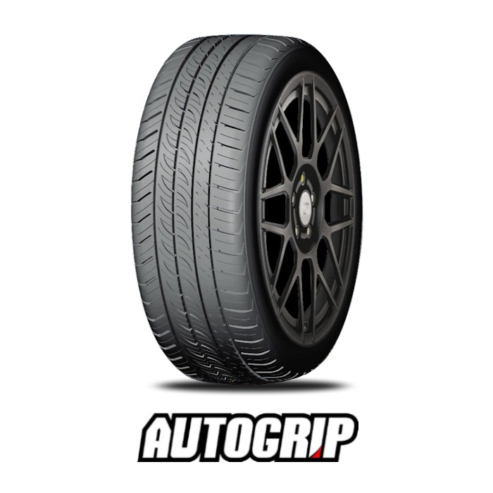 245/35R19 93W AUTOGRIP P308PLUS XL